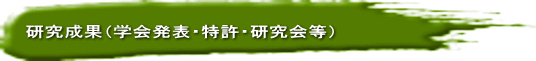 研究成果（学会発表・特許・研究会等）