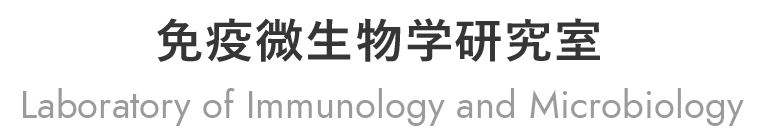 免疫微生物学研究室 Laboratory of Immunology and Microbiology