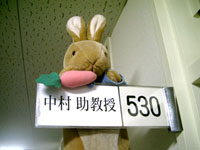 悢