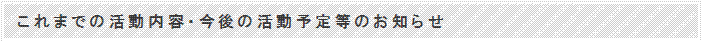 活動内容
