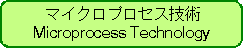 microprocess