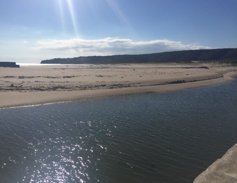 前之浜近くの砂浜